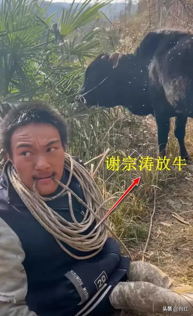 陕西兄妹，兄靠爬行养家，妹凭微光奋进，哥哥看到妹妹奖状后泪崩