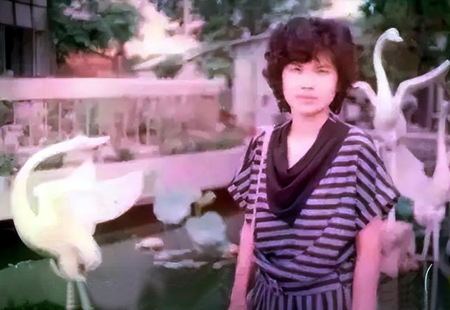“铁娘子”董明珠:丈夫早逝至今单身,她也有普通妈妈的烦恼