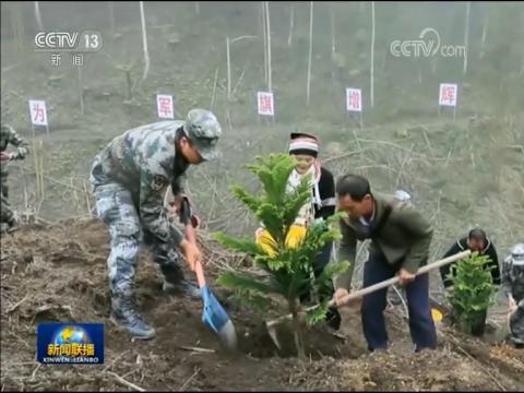 扫雷英雄杜富国
