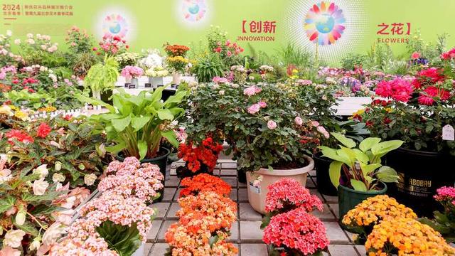 2024北京春季新优花卉品种展示推介会举办