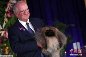 瓦萨比(每日新闻播报（June 21）)