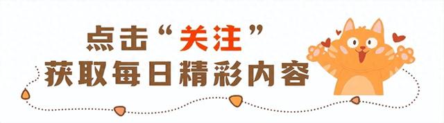 原来汽车是长期耐用品,不是快消品啊!看完网友分享后,真是幡然