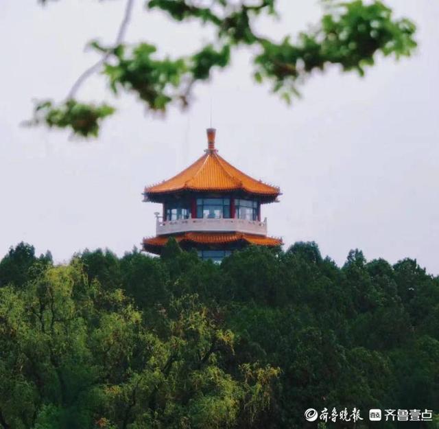 壹图集|最美人间四月天!泰安爬山赏花、露营野餐正当时