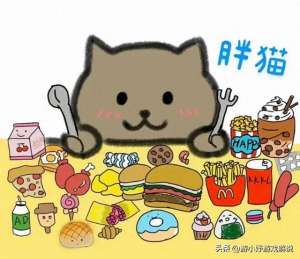 酷酷的鑫(酷酷的鑫遭全网封禁，吃胖猫事件“人血馒头”，为博热度造谣翻车)