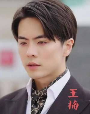 沈星辰(王楠短剧合集10部颜值与才华并存的短剧男神)