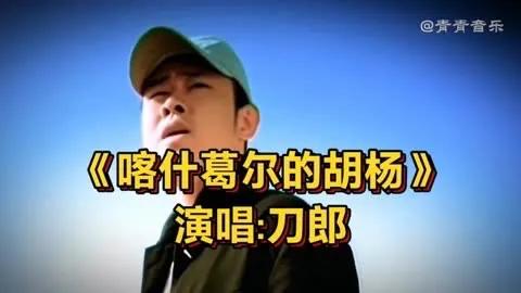 西海情歌是刀郎根据一个凄美的爱情故事而写的