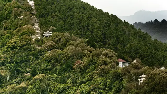 张艺谋上榜,徐克不是第一,谁才是真正的东方美学大师?