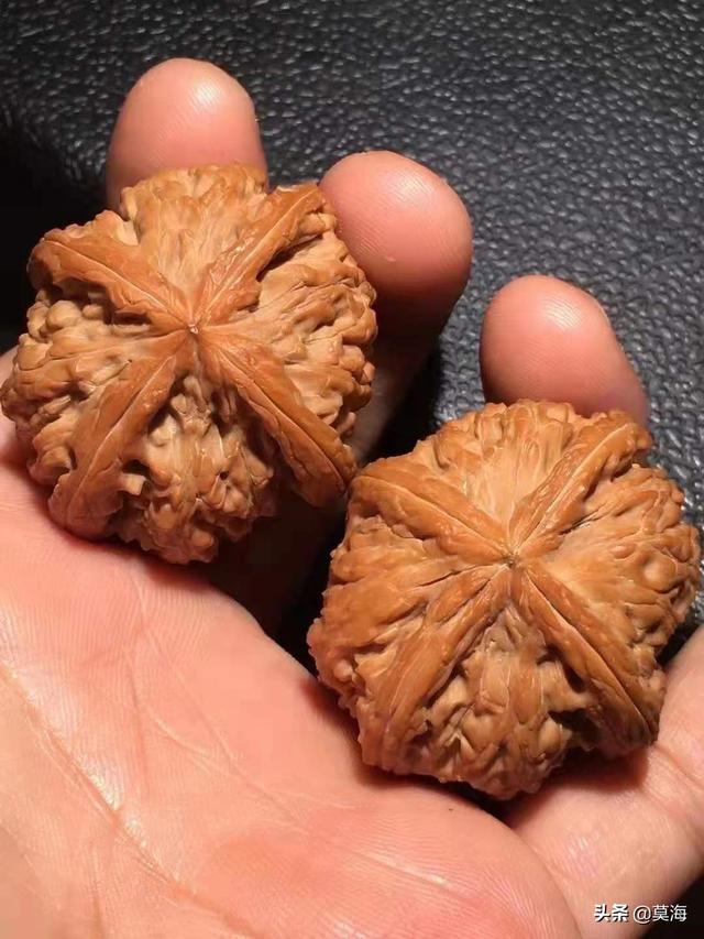 德云班主郭德纲的天价文玩核桃