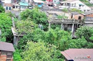 傅老榕(这座闻名西关的民国“奇花别墅”，竟是“一代赌王”傅老榕故居)