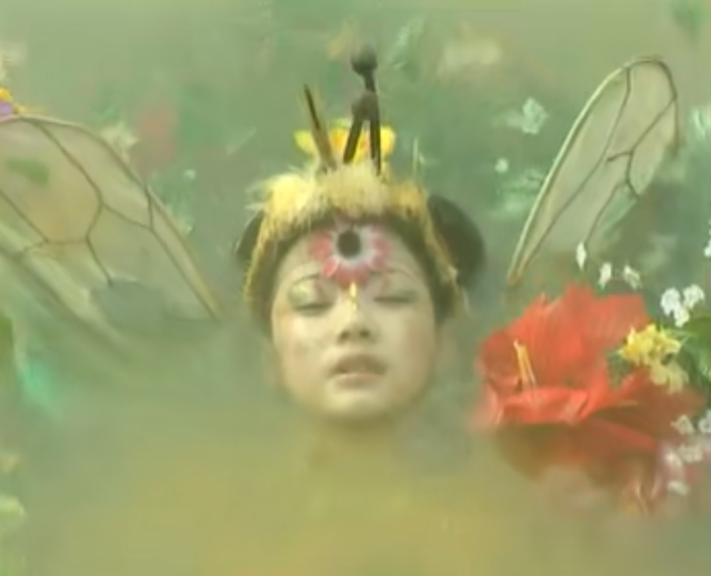 变成蜜蜂的小男孩,1999年的电视剧《蜜里逃生》