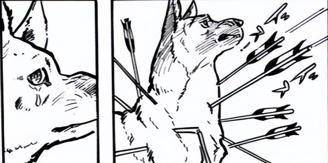 如何评价漫画家白土三平与他的史诗级剧画漫画《卡姆依传》?