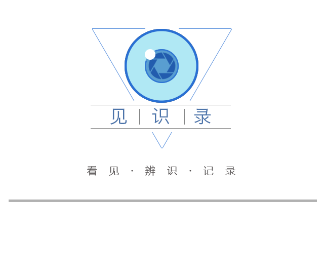 佳酿畅饮,夏夜狂欢,上海松江青岛啤酒节激情开幕……