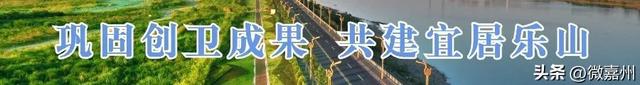 绿心公园梅花绽放,开启春日“梅”好时光