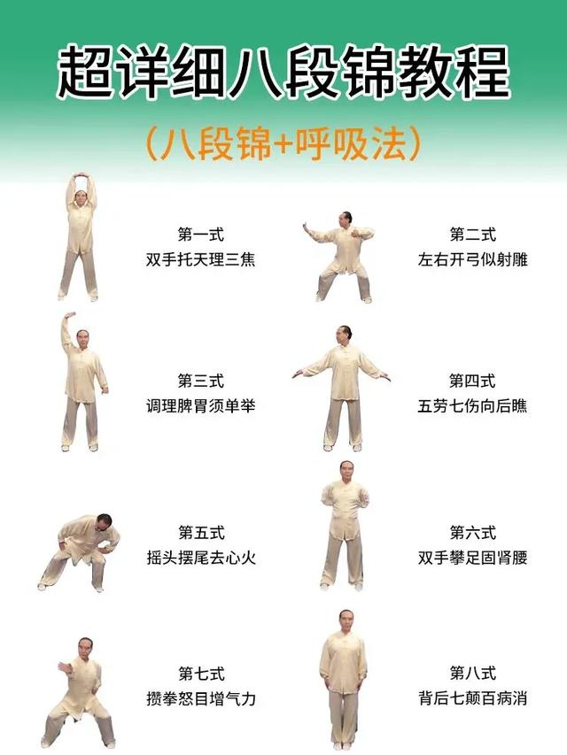解锁【猫式养生法】:气血不足的你,真的可以一边保持慵懒,一边充满活力