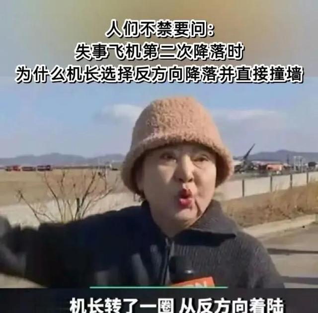 韩国空难除鸟群撞机外，人为因素也很大，韩国大妈目睹坠毁全过程