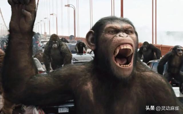 主题深度剖析!〈哪吒 2〉与〈猩球崛起〉:叛逆与抗争人性密码