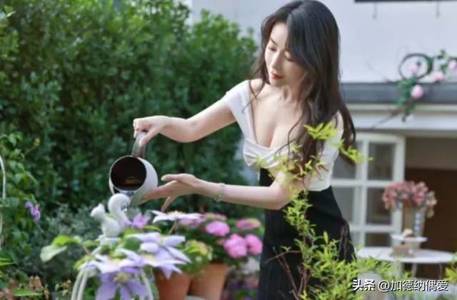 事实证明,18年前经历“艳照门”的陈紫函,早已走上了另一条大道