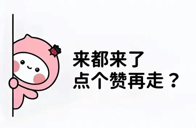 原来汽车是长期耐用品,不是快消品啊!看完网友分享后,真是幡然