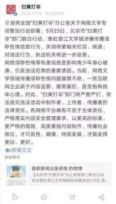 a级电影网站(这个网站涉黄被查《花千骨》《步步惊心》等都出自这)