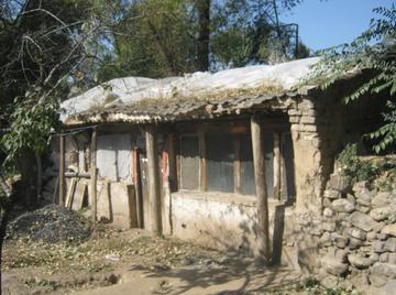 事实证明,“跌落神坛”的白岩松,已经走上了另一条大道
