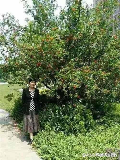 等待-一直等