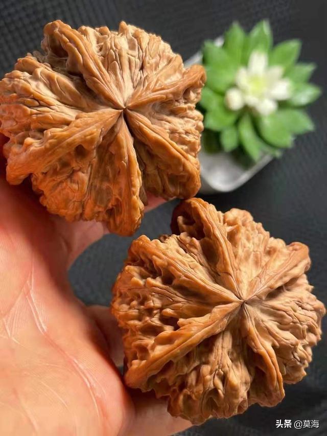 德云班主郭德纲的天价文玩核桃