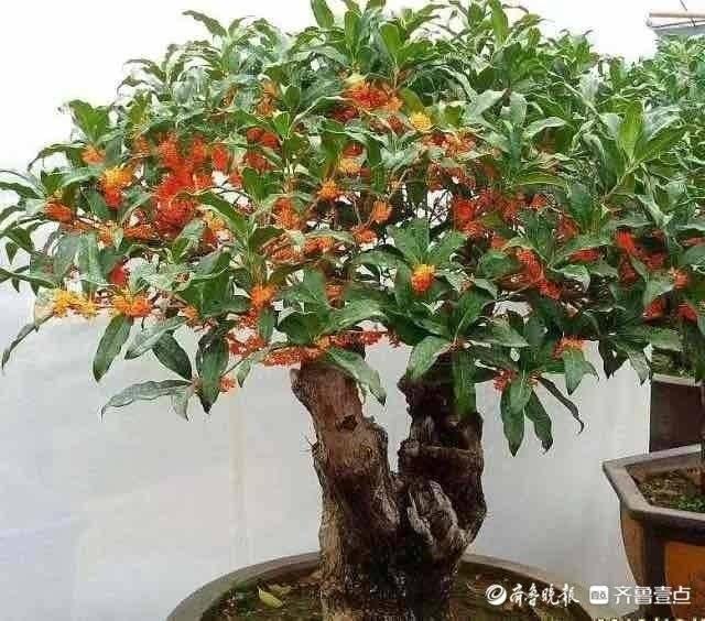 等待-一直等