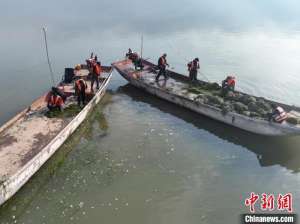 “水上春耕”种草忙 绘就湖南大通湖生态新画卷