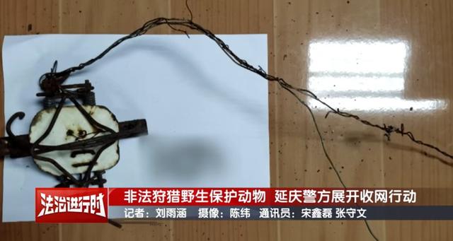 真缺那口肉?北京延庆警方:涉嫌非法狩猎,刑拘!