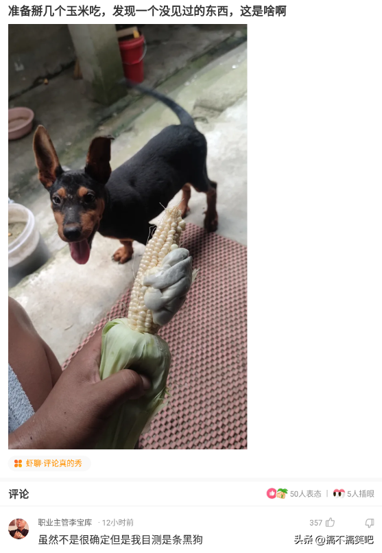 晚自习突然断电,趁机我亲了班花一下,谁料她低声告诉我一个秘密
