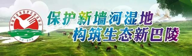 「纪念改革开放40周年」我说变化:《家的N次方》
