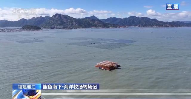 鲍鱼也要“走南闯北”越冬避暑?揭秘小鲍鱼的“候鸟式”养殖