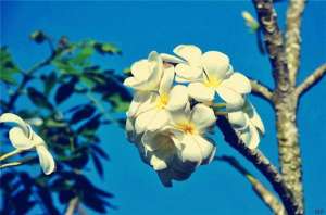 终有一死(非常精辟的人生感悟，人生百年，终有一死，珍惜眼前的平凡生活)