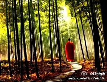 三生三世的爱