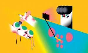 性别暴力(无形的暴力：性别暴力)