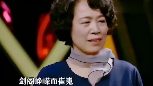 神童王恒屹:3岁认识3000字,6岁夺央视冠军,网友:下一个方仲永