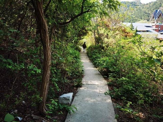 山路十八弯