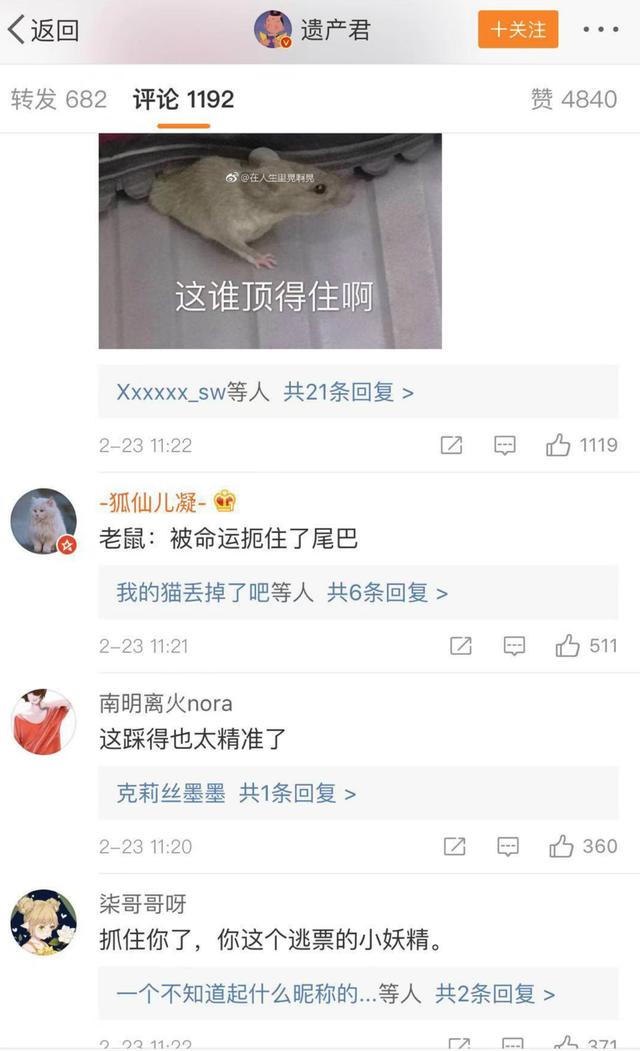 小老鼠地铁内被踩住尾巴,“无辜”眼神萌翻众网友