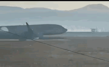 韩国空难除鸟群撞机外，人为因素也很大，韩国大妈目睹坠毁全过程