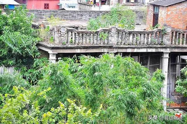 这座闻名西关的民国“奇花别墅”,竟是“一代赌王”傅老榕故居