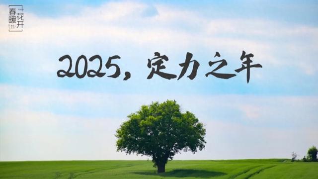 陈春花:2025,定力之年