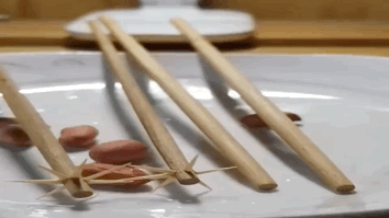 晚自习突然断电,趁机我亲了班花一下,谁料她低声告诉我一个秘密