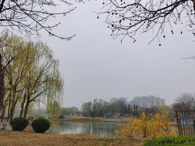 三月里的小雨