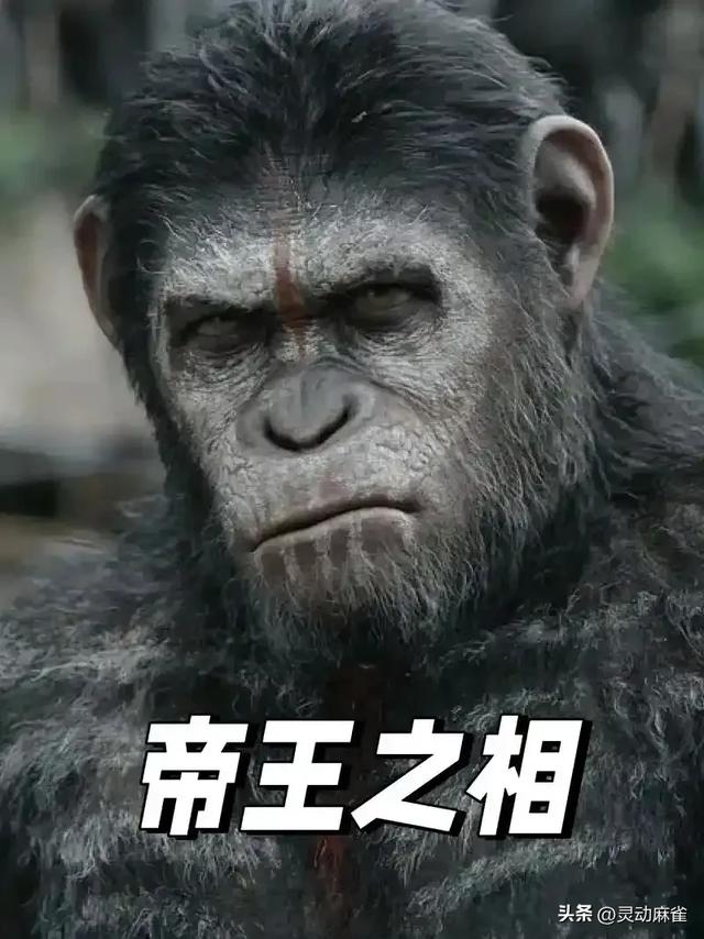 主题深度剖析!〈哪吒 2〉与〈猩球崛起〉:叛逆与抗争人性密码