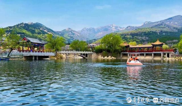 壹图集|最美人间四月天!泰安爬山赏花、露营野餐正当时