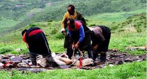 活尸(尸体竟然离奇的活动，揭秘何为起尸)