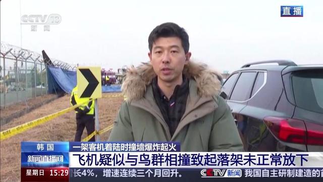 韩国空难除鸟群撞机外，人为因素也很大，韩国大妈目睹坠毁全过程