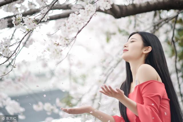 小说：九门功课，她交了九张白卷，直接坐实了史上最强学渣的头衔