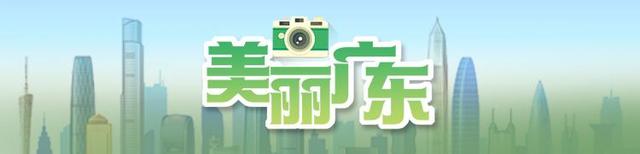 “追龙”祈福!河源上莞39米香火龙创新,眼睛有神舌头会动
