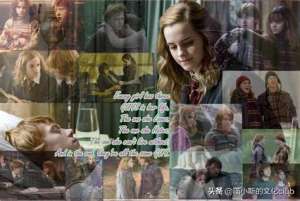 赫敏罗恩(《哈利·波特》：赫敏与罗恩的爱情进化史（上篇）)